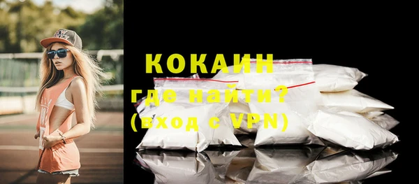 сатива Костерёво