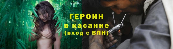 сатива Костерёво