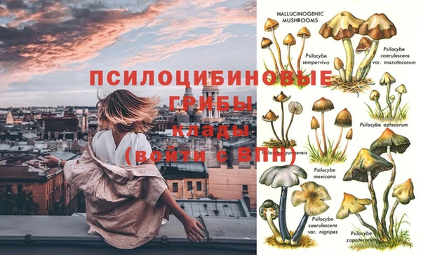 бутират Краснослободск