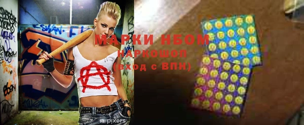 сатива Костерёво