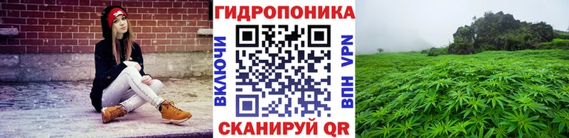 МАРИХУАНА сатива Кола